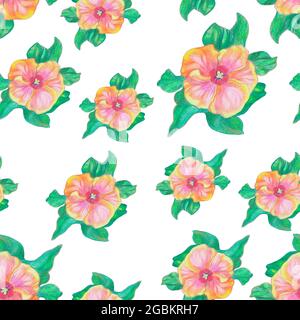 Pink flowers on white background. Colored pencils texture. Retro style floral pattern. Botany seamless pattern. Stock Photo