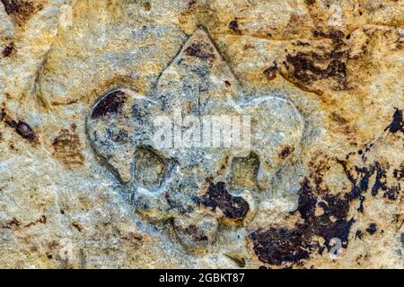 A lily emblem carved into the rock Stock Photo