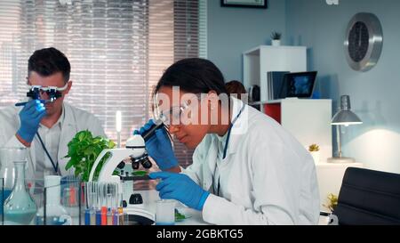 In modern research laboratory black female scientist looking at organic material under microscope while her collegue working in magnifying eyeglasses. Stock Photo