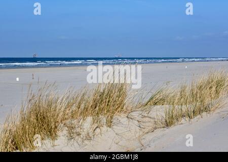 Ameland,Netherlands April 20,2021-Beach with offshore platform, sand, beach grass and surf. People walking on the beach. NAM, Oil rig. Natural gas Stock Photo