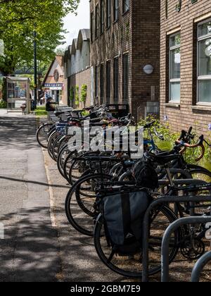 A row of 'Sheffield stand' cycle racks placed prominently and conveniently outside the main entrance of a building, with space for non-standard cycle Stock Photo