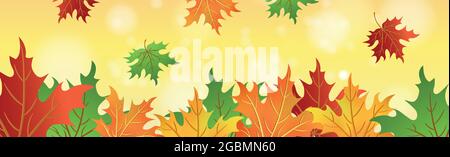 Realistic autumn maple leaves on bokeh background - Vector illustration Stock Vector