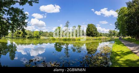 View of the lake with wild flower filled island in the Hamilton Landscapes of Painshill Park, landscaped gardens in Cobham, Surrey, south-east England Stock Photo