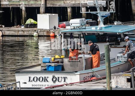 Boothbay Harbor, Maine, USA- July 12, 2021: Fisherman unload their daily lobster catch at pier. Stock Photo