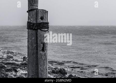 winter storm in black and white on the shore of the Columbia River Stock Photo