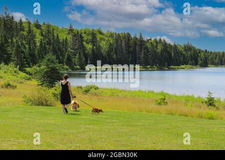 Unidentified woman walking two small dogs at Wolfe Lake in Fundy National Park, New Brunswick, Eastern Canada Stock Photo