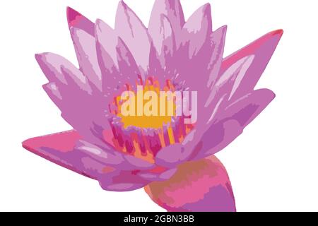 Flamingo vector portrait on a solid white background. Stock Vector