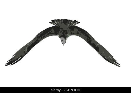 A vector image of an osprey in flight Stock Vector