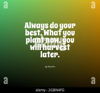 Inspirational motivation quote - Always do your best, what you plant now you  will harvest later Stock Photo - Alamy