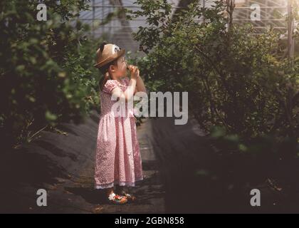 cute asian baby Stock Photo