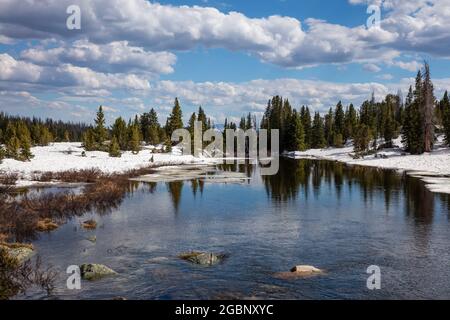 Beartooth Creek as seen from the Beartooth Highway in spring, Shoshone National Forest, Wyoming Stock Photo
