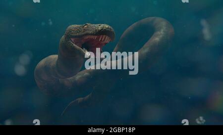 Titanoboa in water, the largest snake that ever lived Stock Photo