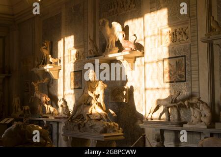 Golden afternoon light streams through windows and shines on a wall of art and marble sculpture at the Vatican Museums. In Rome, Italy. Stock Photo