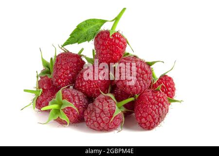 Red raspberry isolated on a white background. Stock Photo
