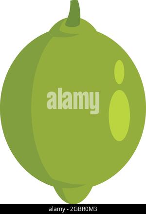 Mexican lime icon. Flat illustration of mexican lime vector icon isolated on white background Stock Vector