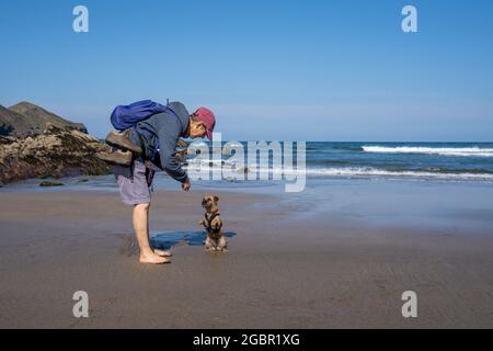 Training a Border Terrier dog on Crackington Haven beach on the north coast of Cornwall.