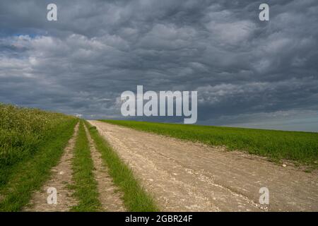 Path leading up towards the Trundle with very stormy clouds next to a crop field on the South Downs near Chichester in West Sussex. Stock Photo