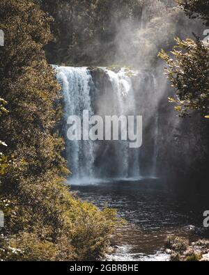 Vertical shot of the Dorrigo Falls in New South Wales, Australia Stock Photo