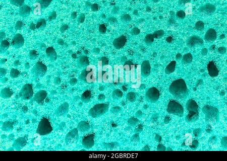 Bright sponge detail texture, sponge texture background Stock Photo