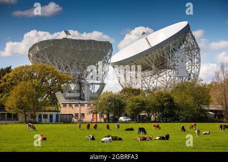 UK, England, Cheshire, Goostrey, University of Manchester, Jodrell Bank, Lovell Radio Telescope and smaller peripheral dish Stock Photo