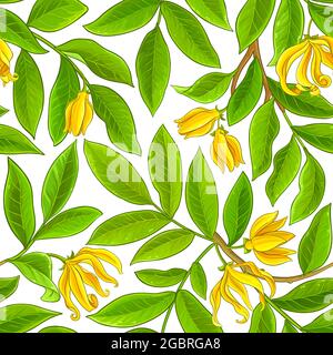 ylang ylang pattern on white background Stock Vector