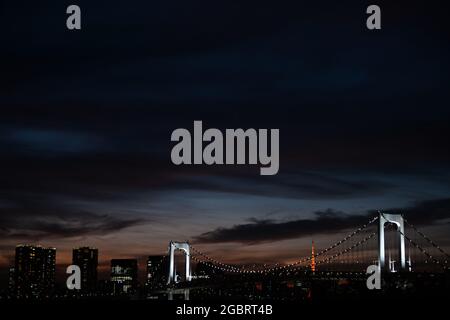 Tokio, Japan. 05th Aug, 2021. View of the skyline. Credit: Swen Pfoertner/dpa/Alamy Live News Stock Photo