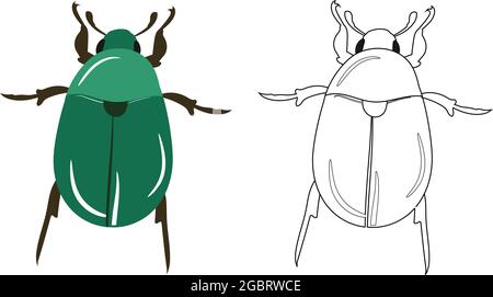 Beetle or Coleoptera Vector Illustration Fill and Outline Isolated on White Background. Insects Bugs Worms Pest and Flies.Entomology or Pest Control B Stock Vector
