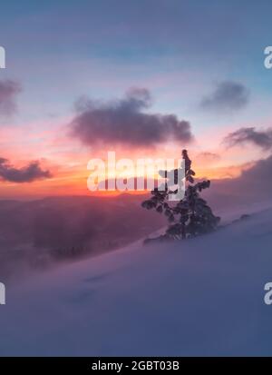 Winter. Aerial view. Amazing sunrise. High mountains with snow. A panoramic view of the covered with frost trees in the snowdrifts. Natural landscape Stock Photo