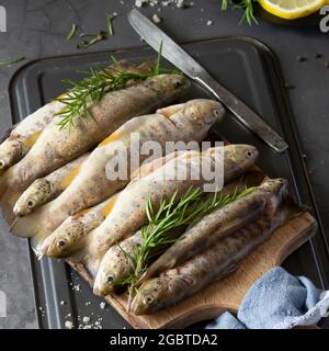 Raw wild salmon trout, healthy cooking ingredients on dark background Stock Photo