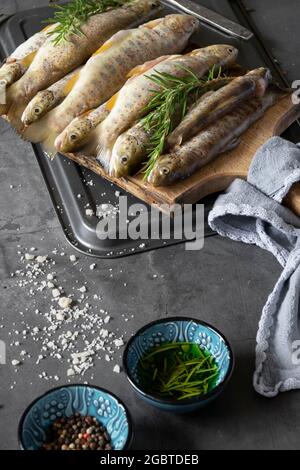 Raw wild salmon trout, healthy cooking ingredients on dark background Stock Photo