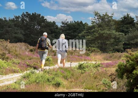 Mature couple walking across moorland in Suffolk countryside in summer, Dunwich, Suffolk England UK Stock Photo