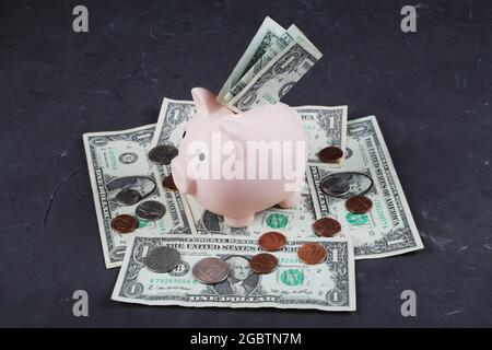 piggy bank a pig stands on one-dollar bills spread on a concrete floor on which American change is scattered