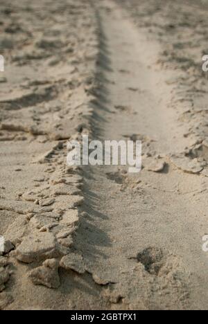 Macro tire track in the sand at the beach - 10.06.2021, Aveiro, Portugal, Selective focus. Stock Photo