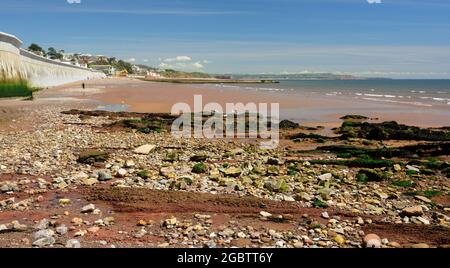 Rocks on Dawlish beach at low tide showing part of the new seawall between Boat Cove and Colonnade underpass. Stock Photo