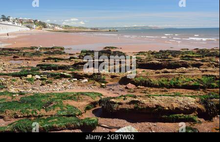 Rocks on Dawlish beach at low tide showing part of the new seawall between Boat Cove and Colonnade underpass. Stock Photo