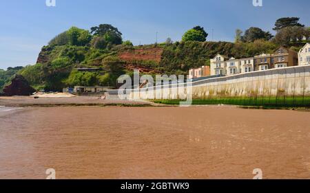 Boat Cove, Dawlish at low tide showing the new seawall as a passing train enters Kennaway tunnel. Stock Photo