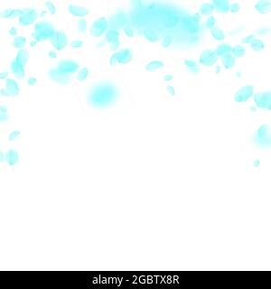 Turquoise flower petals falling down. Surprising romantic flowers falling rain. Flying petal on white square background. Love, romance concept. Authen Stock Vector