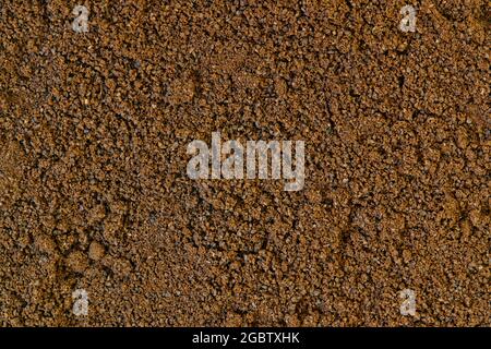 Arabica espresso coffee grains textured closeup, directly above full frame image. Stock Photo