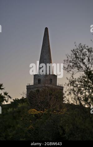 Beautiful closeup evening view of Killiney Obelisk and yellow gorse (Ulex) flowers growing everywhere in Ireland all the year round, Killiney Hill Stock Photo