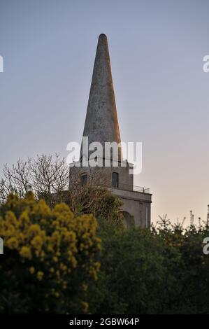 Beautiful closeup evening view of Killiney Obelisk and yellow gorse (Ulex) flowers growing everywhere in Ireland all the year round, Killiney Hill Stock Photo