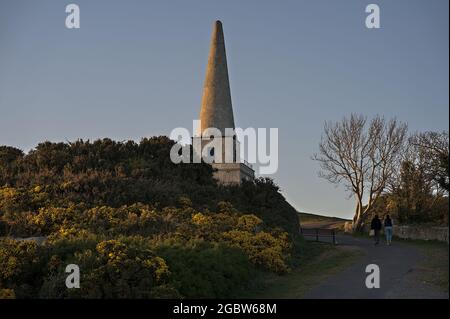 Beautiful closeup evening view of Killiney Obelisk and yellow gorse (Ulex) flowers growing everywhere in Ireland all the year round, Killiney Hill Stock Photo