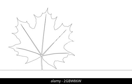 Self drawing animation of one line drawing of isolated object maple leaf. Stock Vector