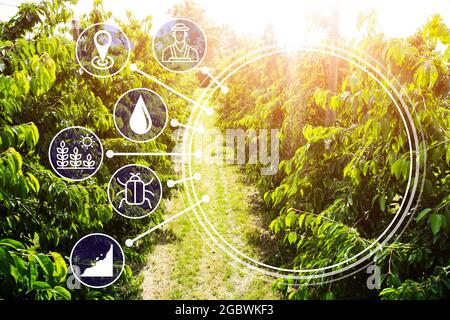 Smart Farming Digital Technology Agriculture At Farm Stock Photo