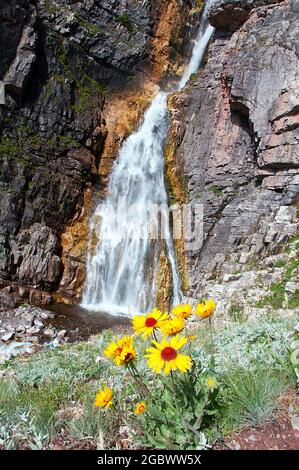 Apikuni Falls, wildflowers, Many Glacier, Glacier National Park, Montana Stock Photo