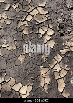 Dried cracked mud on the shoreline of the sea at Silverdale, Lancashire. Stock Photo