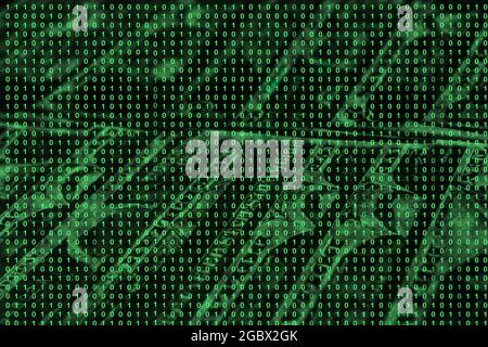 binary code grid from bright green numbers on the background of dollar banknotes, e-commerce concept Stock Photo