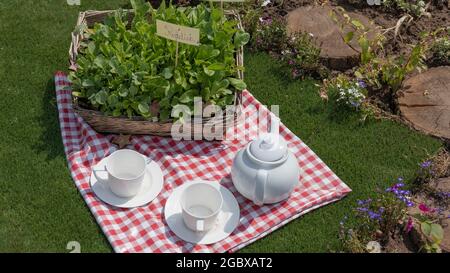 Afternoon tea picninc with gingham table cloth Stock Photo