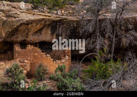 Round alcove ruin below Horseshoe House in Hackberry Canyon, Hovenweep National Monument, Colorado, USA Stock Photo