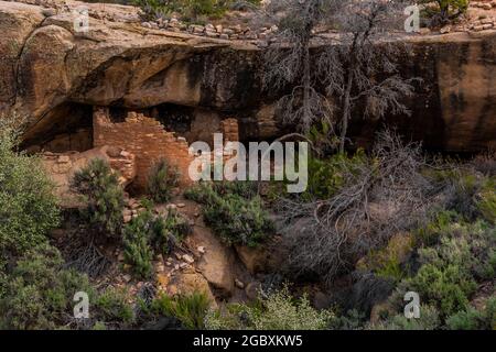 Round alcove ruin below Horseshoe House in Hackberry Canyon, Hovenweep National Monument, Colorado, USA Stock Photo