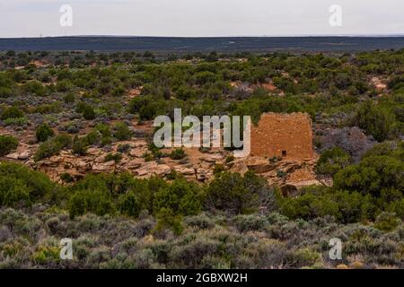 Holly House built by Ancient Puebloans in the Holly Unit of Hovenweep National Monument, Colorado, USA Stock Photo